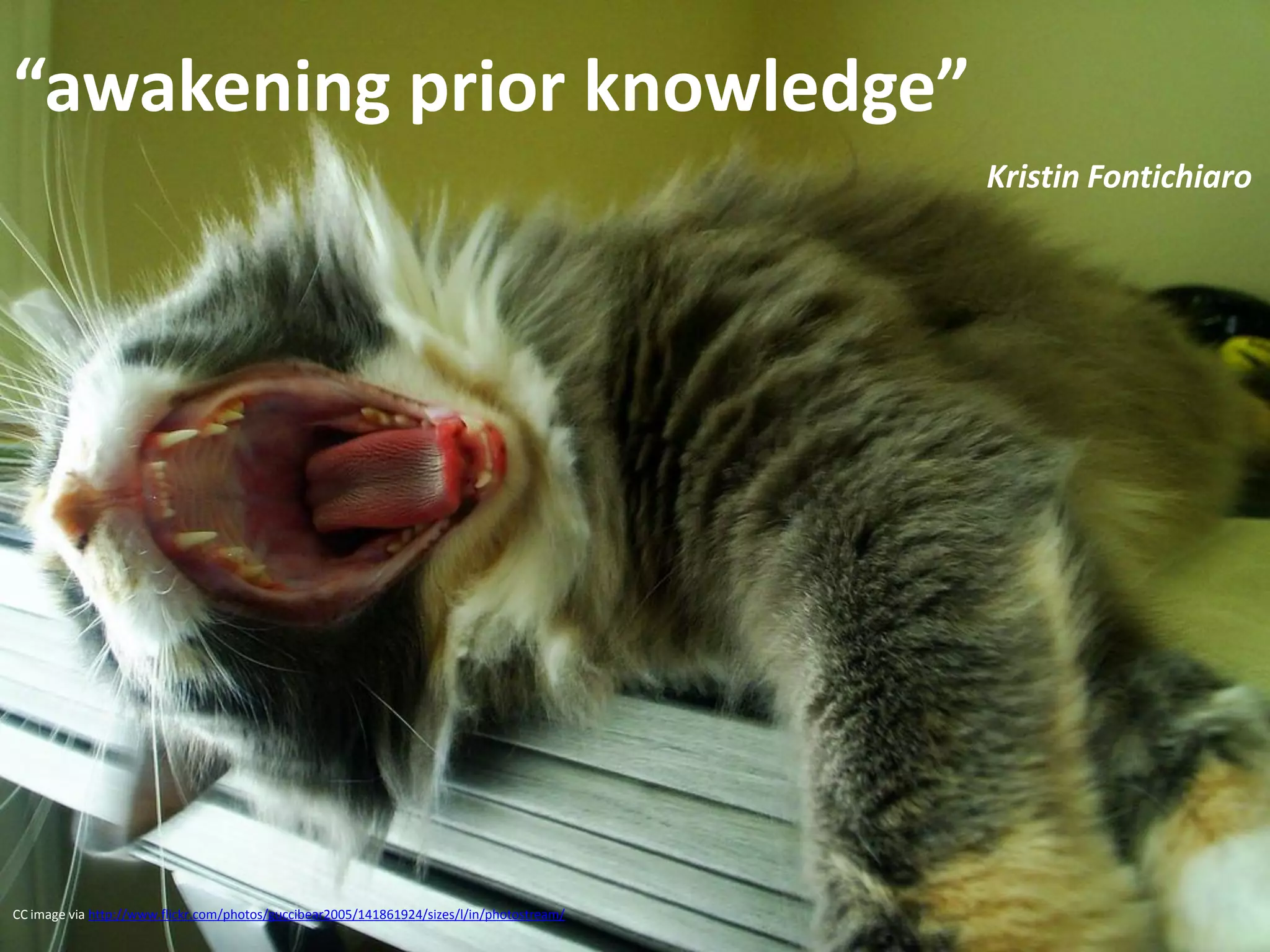 “awakening prior knowledge”
                                                                                            Kristin Fontichiaro




CC image via http://www.flickr.com/photos/guccibear2005/141861924/sizes/l/in/photostream/
 