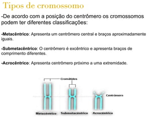 Tipos de cromossomo
-De acordo com a posição do centrômero os cromossomos
podem ter diferentes classificações:

-Metacêntrico: Apresenta um centrômero central e braços aproximadamente
iguais.

-Submetacêntrico: O centrômero é excêntrico e apresenta braços de
comprimento diferentes.

-Acrocêntrico: Apresenta centrômero próximo a uma extremidade.
 