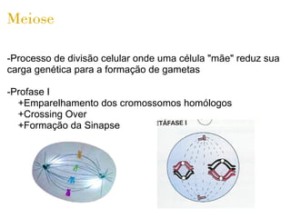 Meiose

-Processo de divisão celular onde uma célula "mãe" reduz sua
carga genética para a formação de gametas

-Profase I
  +Emparelhamento dos cromossomos homólogos
  +Crossing Over
  +Formação da Sinapse
 