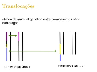 Translocações 

-Troca de material genético entre cromossomos não-
homólogos




 CROMOSSOMOS 1                     CROMOSSOMOS 9
 