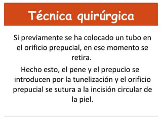 Si previamente se ha colocado un tubo en el orificio prepucial, en ese momento se retira.  Hecho esto, el pene y el prepucio se introducen por la tunelización y el orificio prepucial se sutura a la incisión circular de la piel. Técnica quirúrgica 