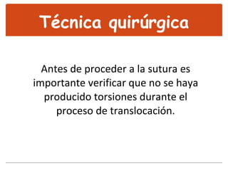 Antes de proceder a la sutura es importante verificar que no se haya producido torsiones durante el proceso de translocación. Técnica quirúrgica 