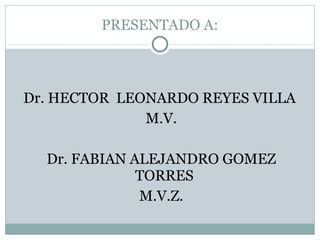PRESENTADO A: Dr. HECTOR  LEONARDO REYES VILLA  M.V. Dr. FABIAN ALEJANDRO GOMEZ TORRES  M.V.Z. 