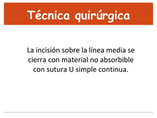 La incisión sobre la línea media se cierra con material no absorbible con sutura U simple continua. Técnica quirúrgica 
