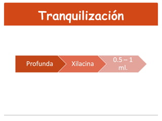 Tranquilización 