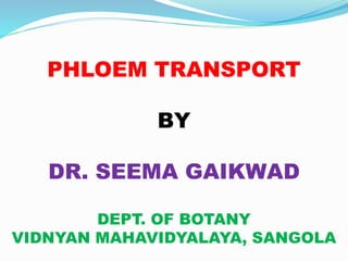 PHLOEM TRANSPORT
BY
DR. SEEMA GAIKWAD
DEPT. OF BOTANY
VIDNYAN MAHAVIDYALAYA, SANGOLA
 