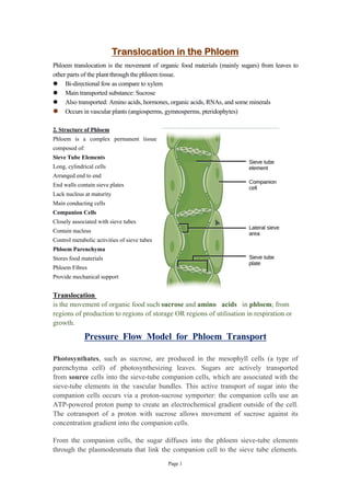 Translocation in Phloem Notes for Botany Semester Students | PDF