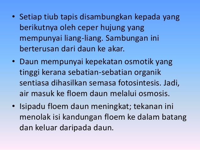 Translokasi
