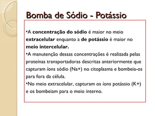 Bomba de Sódio - Potássio
•A concentração do sódio é maior no meio
extracelular enquanto a de potássio é maior no
meio intercelular.
•A manutenção dessas concentrações é realizada pelas
proteínas transportadoras descritas anteriormente que
capturam íons sódio (Na+) no citoplasma e bombeia-os
para fora da célula.
•No meio extracelular, capturam os íons potássio (K+)
e os bombeiam para o meio interno.
 