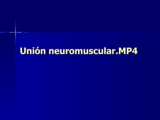 Unión neuromuscular.MP4 