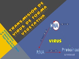 Transmisión de virus de forma vegetativa virus INTEGRANTES: ,[object Object]