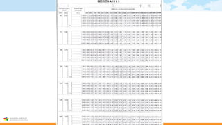 CORREAS INDUSTRIALES
 