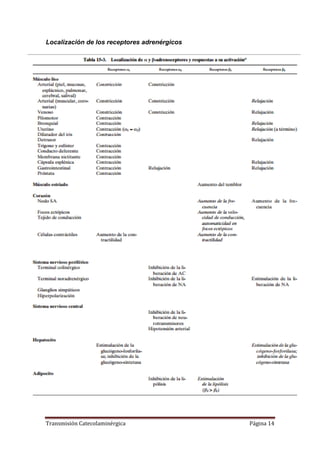 Transmisión Catecolaminérgica Página 14
Localización de los receptores adrenérgicos
 