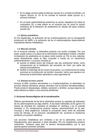 Transmisión Catecolaminérgica Página 17
 En la vejiga urinaria relaja el detrusor (acción b) y contrae el esfínter y el
trígono (acción a). En el iris contrae el músculo radial (acción a) y
provoca midriasis.
 En el tracto gastrointestinal predomina la acción relajadora (b) sobre la
contractora (a); a este efecto en el músculo liso se suma la acción
inhibidora de la liberación de acetilcolina en células del plexo entérico
(acción a2).
1.3. Efectos metabólicos
En los hepatocitos, la activación de los b-adrenoceptores con la consiguiente
producción de AMPc y la activación de los a1-adrenoceptores desencadenan
importantes efectos metabólicos
1.4. Músculo estriado
En el músculo estriado, la adrenalina produce una acción compleja. Por una
parte, puede actuar a la altura de la terminación presináptica motora y facilitar
la liberación de acetilcolina en la placa motriz (acción a). Por la otra, además,
actúa directamente sobre la fibra muscular a través de un mecanismo
preferentemente b. La acción consiste en:
a) acortar el estado activo del músculo rojo (de contracción lenta), como
consecuencia de la facilitación del secuestro de Ca2+ por parte del
retículo sarcoplásmico
b) facilitar la descarga de los husos musculares. La consecuencia de estas
acciones es la producción de temblor muscular, hecho que aparece con
frecuencia al administrar adrenalina y otros agonistas b2.
1.5. Sistema nervioso central
Aunque el SNC contiene abundantes a y b-adrenoceptores, la adrenalina no
provoca efectos llamativos porque atraviesa mal la barrera hematoencefálica.
Puede producir desasosiego, cefalea, aprensión y temblor, aunque algunos de
estos efectos se deben a sus acciones periféricas.
2. Acciones farmacológicas de la noradrenalina
Difieren parcialmente de las de la adrenalina porque su espectro de activación
de los adrenoceptores es algo distinto. A las dosis habituales (2-20 µg/min IV)
carece de actividad b2, mantiene la actividad b1 cardíaca y es un potente
activador a. En consecuencia produce intensa vasoconstricción en la piel,
mucosas y área esplácnica, incluida la circulación renal, tanto de arteriolas
como de vénulas. Al no provocar vasodilatación b2, aumenta la resistencia
periférica y la presión diastólica
Las acciones metabólicas son similares a las de la adrenalina, como la
hiperglucemia, pero aparecen a dosis elevadas. Por vía intradérmica produce
sudoración. Tampoco pasa bien la barrera hematoencefálica, por lo que
apenas genera acciones centrales.
 