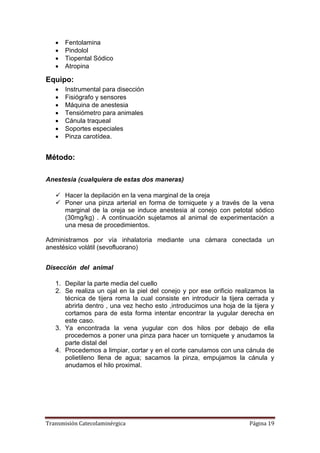 Transmisión Catecolaminérgica Página 19
 Fentolamina
 Pindolol
 Tiopental Sódico
 Atropina
Equipo:
 Instrumental para disección
 Fisiógrafo y sensores
 Máquina de anestesia
 Tensiómetro para animales
 Cánula traqueal
 Soportes especiales
 Pinza carotídea.
Método:
Anestesia (cualquiera de estas dos maneras)
 Hacer la depilación en la vena marginal de la oreja
 Poner una pinza arterial en forma de torniquete y a través de la vena
marginal de la oreja se induce anestesia al conejo con petotal sódico
(30mg/kg) . A continuación sujetamos al animal de experimentación a
una mesa de procedimientos.
Administramos por vía inhalatoria mediante una cámara conectada un
anestésico volátil (sevofluorano)
Disección del animal
1. Depilar la parte media del cuello
2. Se realiza un ojal en la piel del conejo y por ese orificio realizamos la
técnica de tijera roma la cual consiste en introducir la tijera cerrada y
abrirla dentro , una vez hecho esto ,introducimos una hoja de la tijera y
cortamos para de esta forma intentar encontrar la yugular derecha en
este caso.
3. Ya encontrada la vena yugular con dos hilos por debajo de ella
procedemos a poner una pinza para hacer un torniquete y anudamos la
parte distal del
4. Procedemos a limpiar, cortar y en el corte canulamos con una cánula de
polietileno llena de agua; sacamos la pinza, empujamos la cánula y
anudamos el hilo proximal.
 
