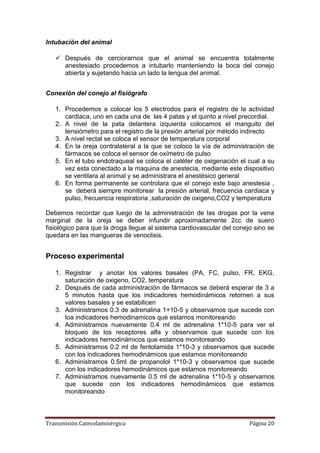 Transmisión Catecolaminérgica Página 20
Intubación del animal
 Después de cerciorarnos que el animal se encuentra totalmente
anestesiado procedemos a intubarlo manteniendo la boca del conejo
abierta y sujetando hacia un lado la lengua del animal.
Conexión del conejo al fisiógrafo
1. Procedemos a colocar los 5 electrodos para el registro de la actividad
cardiaca, uno en cada una de las 4 patas y el quinto a nivel precordial.
2. A nivel de la pata delantera izquierda colocamos el manguito del
tensiómetro para el registro de la presión arterial por método indirecto
3. A nivel rectal se coloca el sensor de temperatura corporal
4. En la oreja contralateral a la que se coloco la vía de administración de
fármacos se coloca el sensor de oxímetro de pulso
5. En el tubo endotraqueal se coloca el catéter de oxigenación el cual a su
vez esta conectado a la maquina de anestecia, mediante este dispositivo
se ventilara al animal y se administrara el anestésico general
6. En forma permanente se controlara que el conejo este bajo anestesia ,
se deberá siempre monitorear la presión arterial, frecuencia cardiaca y
pulso, frecuencia respiratoria ,saturación de oxigeno,CO2 y temperatura
Debemos recordar que luego de la administración de las drogas por la vena
marginal de la oreja se deber infundir aproximadamente 2cc de suero
fisiológico para que la droga llegue al sistema cardiovascular del conejo sino se
quedara en las mangueras de venoclisis.
Proceso experimental
1. Registrar y anotar los valores basales (PA, FC, pulso, FR, EKG,
saturación de oxigeno, CO2, temperatura
2. Después de cada administración de fármacos se deberá esperar de 3 a
5 minutos hasta que los indicadores hemodinámicos retornen a sus
valores basales y se estabilicen
3. Administramos 0.3 de adrenalina 1+10-5 y observamos que sucede con
loa indicadores hemodinamicos que estamos monitoreando
4. Administramos nuevamente 0.4 ml de adrenalina 1*10-5 para ver el
bloqueo de los receptores alfa y observamos que sucede con los
indicadores hemodinámicos que estamos monitoreando
5. Administramos 0.2 ml de fentolamida 1*10-3 y observamos que sucede
con los indicadores hemodinámicos que estamos monitoreando
6. Administramos 0.5ml de propanolol 1*10-3 y observamos que sucede
con los indicadores hemodinámicos que estamos monitoreando
7. Administramos nuevamente 0.5 ml de adrenalina 1*10-5 y observamos
que sucede con los indicadores hemodinámicos que estamos
monitoreando
 