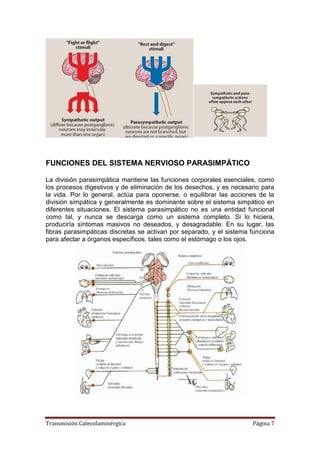 Transmisión Catecolaminérgica Página 7
FUNCIONES DEL SISTEMA NERVIOSO PARASIMPÁTICO
La división parasimpática mantiene las funciones corporales esenciales, como
los procesos digestivos y de eliminación de los desechos, y es necesario para
la vida. Por lo general, actúa para oponerse, o equilibrar las acciones de la
división simpática y generalmente es dominante sobre el sistema simpático en
diferentes situaciones. El sistema parasimpático no es una entidad funcional
como tal, y nunca se descarga como un sistema completo. Si lo hiciera,
produciría síntomas masivos no deseados, y desagradable. En su lugar, las
fibras parasimpáticas discretas se activan por separado, y el sistema funciona
para afectar a órganos específicos, tales como el estómago o los ojos.
 