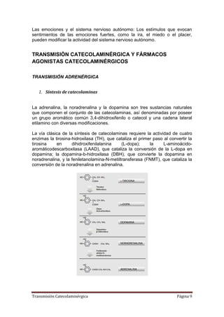 Transmisión Catecolaminérgica Página 9
Las emociones y el sistema nervioso autónomo: Los estímulos que evocan
sentimientos de las emociones fuertes, como la ira, el miedo o el placer,
pueden modificar la actividad del sistema nervioso autónomo.
TRANSMISIÓN CATECOLAMINÉRGICA Y FÁRMACOS
AGONISTAS CATECOLAMINÉRGICOS
TRANSMISIÓN ADRENÉRGICA
1. Síntesis de catecolaminas
La adrenalina, la noradrenalina y la dopamina son tres sustancias naturales
que componen el conjunto de las catecolaminas, así denominadas por poseer
un grupo aromático común 3,4-dihidroxifenilo o catecol y una cadena lateral
etilamino con diversas modificaciones.
La vía clásica de la síntesis de catecolaminas requiere la actividad de cuatro
enzimas la tirosina-hidroxilasa (TH), que cataliza el primer paso al convertir la
tirosina en dihidroxifenilalanina (L-dopa); la L-aminoácido-
aromáticodescarboxilasa (LAAD), que cataliza la conversión de la L-dopa en
dopamina; la dopamina-b-hidroxilasa (DBH), que convierte la dopamina en
noradrenalina, y la feniletanolamina-N-metiltransferasa (FNMT), que cataliza la
conversión de la noradrenalina en adrenalina.
 