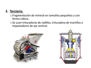 3. Terciaria.
o Fragmentación de mineral en tamaños pequeños y con
forma cúbica.
o Se usan trituradoras de rodillos, trituradora de martillos e
impactadores de eje vertical.
 
