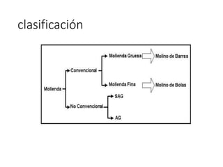 clasificación
 