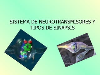 SISTEMA DE NEUROTRANSMISORES Y
       TIPOS DE SINAPSIS
 
