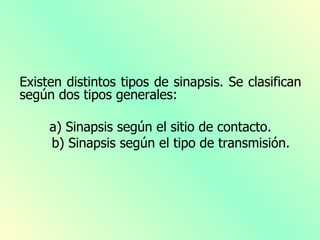 Existen distintos tipos de sinapsis. Se clasifican
según dos tipos generales:

     a) Sinapsis según el sitio de contacto.
     b) Sinapsis según el tipo de transmisión.
 
