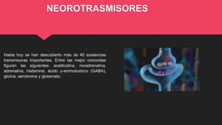 NEOROTRASMISORES
Hasta hoy se han descubierto más de 40 sustancias
transmisoras importantes. Entre las mejor conocidas
figuran las siguientes: acetilcolina, noradrenalina,
adrenalina, histamina, ácido y-aminobutirico (GABA),
glicina, serotonina y glutamato.
 