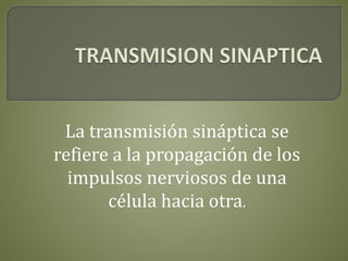 La transmisión sináptica se
refiere a la propagación de los
impulsos nerviosos de una
célula hacia otra.
 