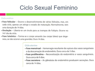 Ciclo Sexual Feminino
 