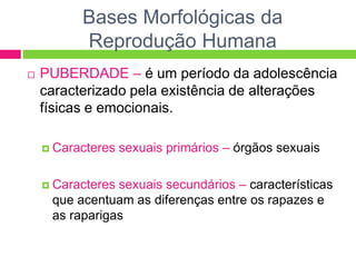 Bases Morfológicas da
          Reprodução Humana
   PUBERDADE – é um período da adolescência
    caracterizado pela existência de alterações
    físicas e emocionais.

     Caracteres   sexuais primários – órgãos sexuais

     Caracteressexuais secundários – características
     que acentuam as diferenças entre os rapazes e
     as raparigas
 