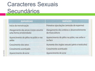 Caracteres Sexuais
Secundários
 