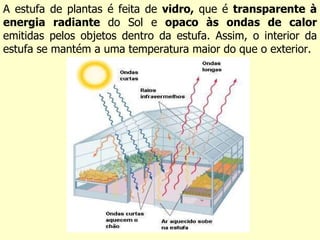 A estufa de plantas é feita de  vidro,  que é  transparente à energia radiante  do Sol e  opaco às ondas de calor  emitidas pelos objetos dentro da estufa. Assim, o interior da estufa se mantém a uma temperatura maior do que o exterior. 
