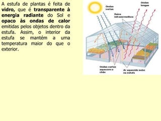 A estufa de plantas é feita de  vidro,  que é  transparente à energia radiante  do Sol e  opaco às ondas de calor  emitidas pelos objetos dentro da estufa. Assim, o interior da estufa se mantém a uma temperatura maior do que o exterior. 