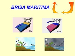 BRISA MARÍTIMA  