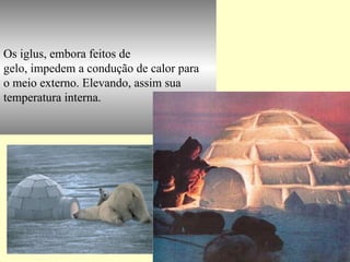 Os iglus, embora feitos de  gelo, impedem a condução de calor para  o meio externo. Elevando, assim sua  temperatura interna. 