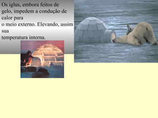Os iglus, embora feitos de  gelo, impedem a condução de calor para  o meio externo. Elevando, assim sua  temperatura interna. 