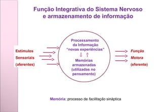 Função Integrativa do Sistema Nervoso
e armazenamento de informação
Estímulos
Sensoriais
(aferentes)
Processamento
da Informação
“novas experiências”
Memórias
armazenadas
(utilizadas no
pensamento)
Função
Motora
(eferente)
Memória: processo de facilitação sináptica
 