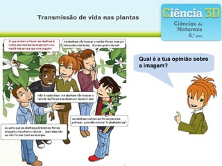 Qual é a tua opinião sobre
a imagem?
Transmissão de vida nas plantas
 