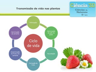 Transmissão de vida nas plantas
 