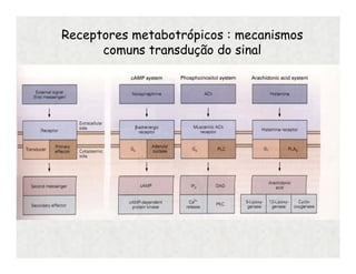 Receptores metabotrópicos : mecanismos
comuns transdução do sinal
 