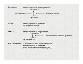 Glutamato - síntese a partir do α-cetoglutarato
Glutamato
Glutaminase Glutamina sintase
Glutamina
Glicina - síntese a partir do aa serina
IN da medula espinal
GABA - síntese a partir do aa glutamato
Glutamato
Descarboxilase do ácido glutâmico
GABA
IN em todo SNC
ATP e Adenosina – N. autonômicos para o vaso deferente
plexos nervosos no intestino
corno dorsal da medula espinal (dor)
 