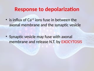 by neurotransmitter neurotransmission occurring in body | PPTX