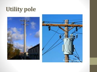 Utility pole
 