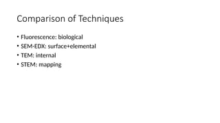 Comprehensive Overview of Transmission Electron Microscopy (TEM) and ...