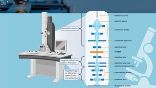 Comprehensive Overview of Transmission Electron Microscopy (TEM) and ...