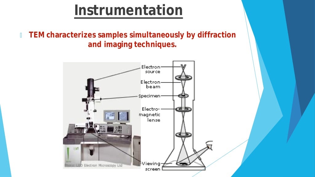 Transmission electron microscope