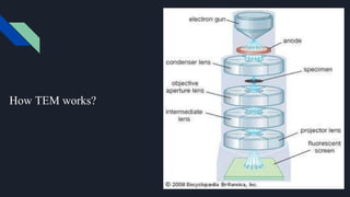 How TEM works?
 