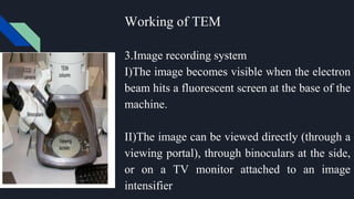 Working of TEM
3.Image recording system
I)The image becomes visible when the electron
beam hits a fluorescent screen at the base of the
machine.
II)The image can be viewed directly (through a
viewing portal), through binoculars at the side,
or on a TV monitor attached to an image
intensifier
 