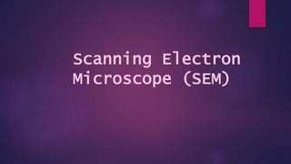 Scanning Electron
Microscope (SEM)
 