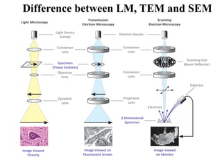 Transmission electron microscope, high resolution tem and selected area ...